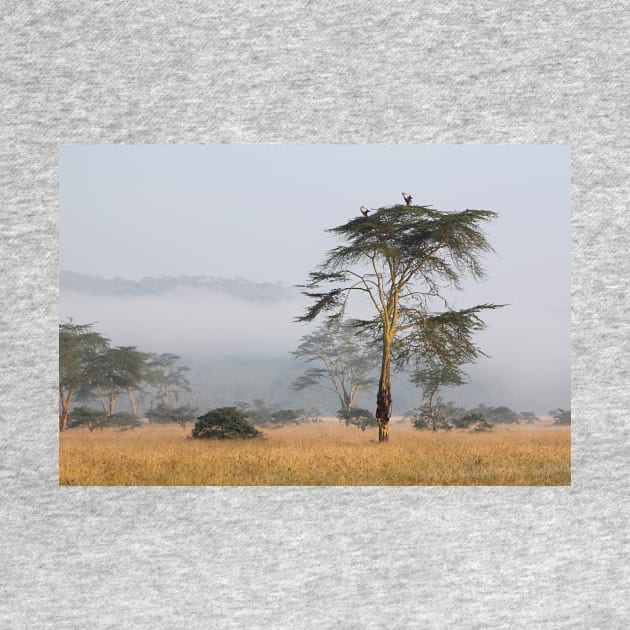 Morning Ritual in the Fog. Lake Nakuru, Kenya. by Carole-Anne